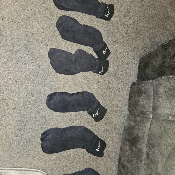 Champion Black Athletic Ankle Socks - Multiple Pair - Picture 1 of 2